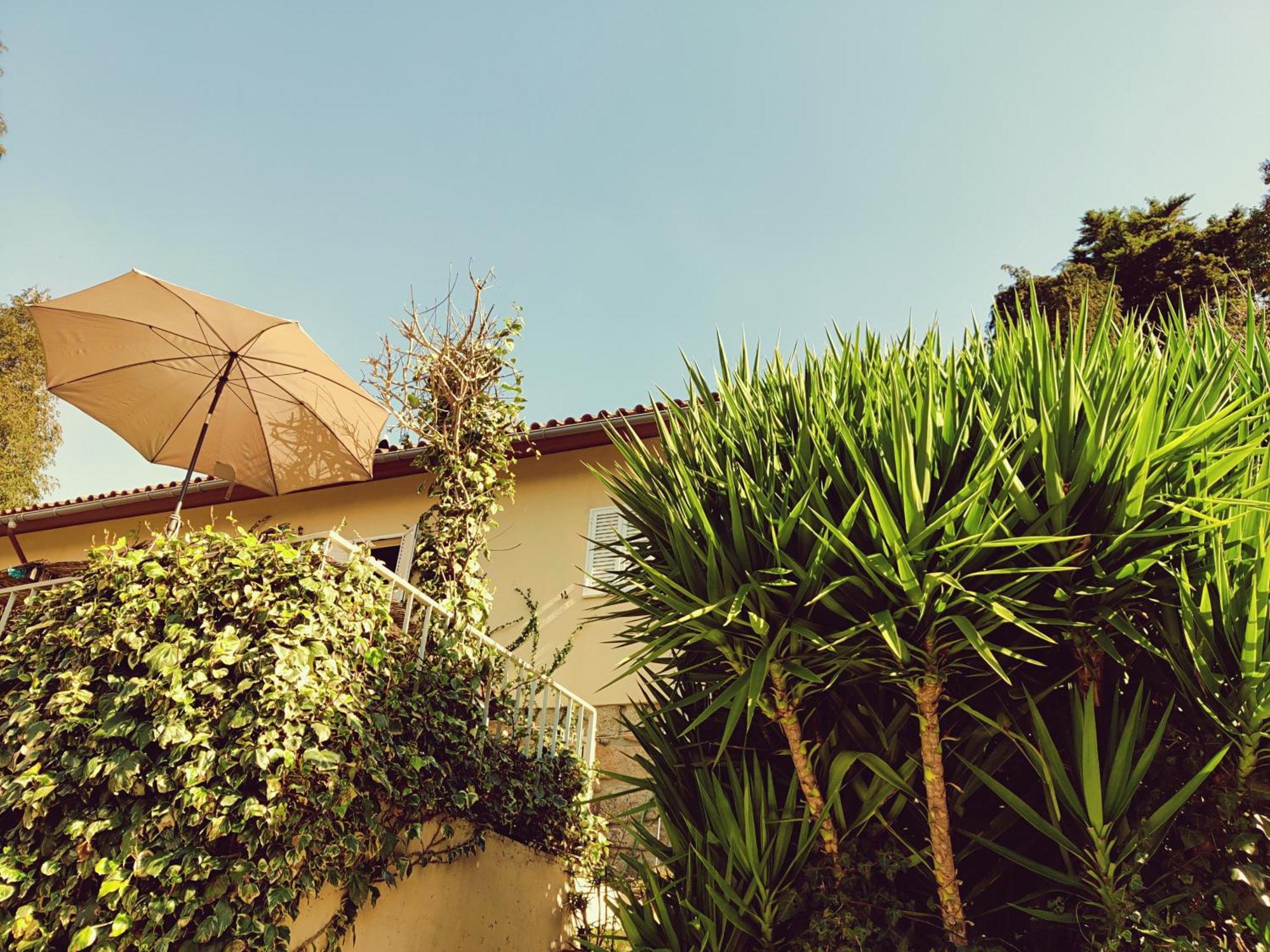 Monteiro'S Geres Countryhouse Ferral ภายนอก รูปภาพ